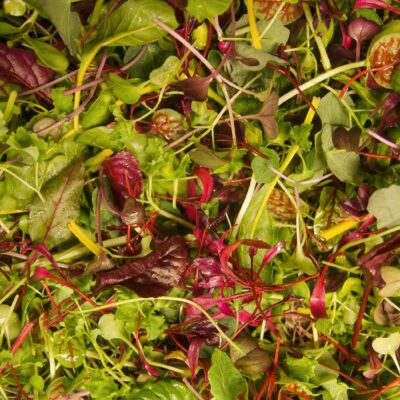 Microgreen Mix (50 g)